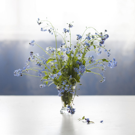 Forget-me-not blue forest flowers bouquet on tableの写真素材