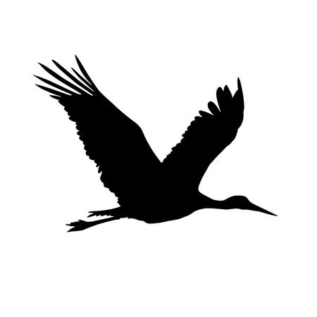 Stork bird. Vector silhouette black on whiteのイラスト素材