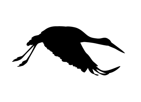 Stork bird. Vector silhouette black on whiteのイラスト素材