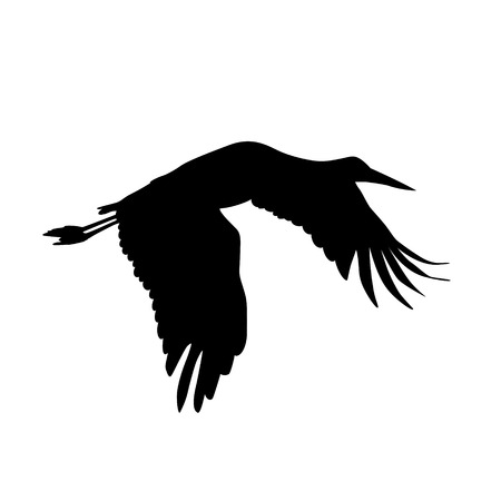 Stork bird. Vector silhouette black on whiteのイラスト素材