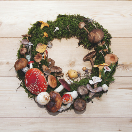 mushrooms on moss wreath on a wooden backgroundの写真素材