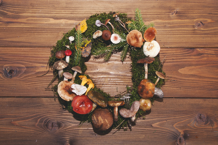 mushrooms on moss wreath on a wooden backgroundの写真素材