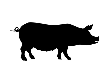 Farm animal. Pig silhouette black on whiteのイラスト素材