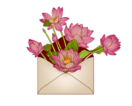 Envelope with pink lotus (water lily) flowersのイラスト素材