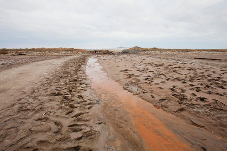 Creek with therapeutic mud near saline (salt lake) Baskunchak. Astrakhan region.