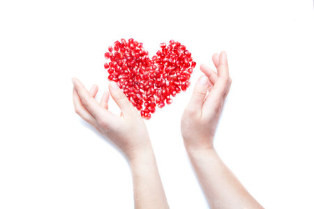 pomegranate seeds in shape of heart with female handsの写真素材