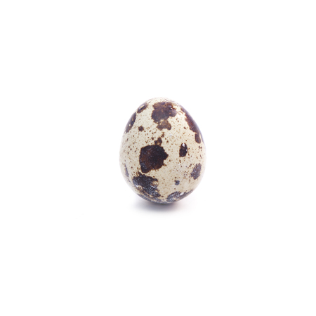 One spotted quail egg on a white backgroundの写真素材