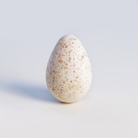 One white spotted turkey egg standing uprightの写真素材