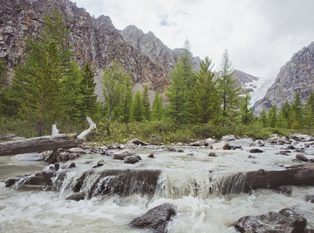 Aktru glacier River. Altai Mountains summer landscapeの写真素材