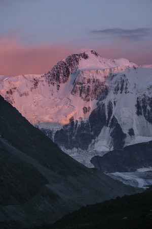 Beluha mountain in pink rays of the setting sun. Altai, Russiaの写真素材