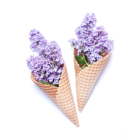 Two waffle cones with lilac flowers on white backgroundの写真素材