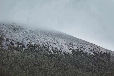 Snow-covered mountain peak. Forest on the slope. Altai landscape
の写真素材