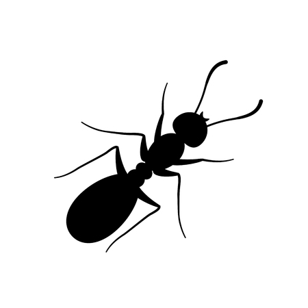 Ant vector flat sign black on white background.のイラスト素材