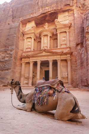 Camel lies nearby the Treasury. El Khazne, 1st century AD. Petra. Jordan landmarkの写真素材