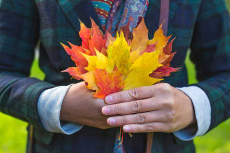 A bouquet of maple leaves in the hands of a girl. Autumn nature