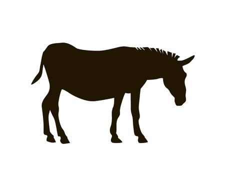 Silhouette of a donkey. Black on white vector illustrationのイラスト素材