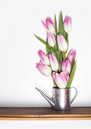 Pink tulip flowers bouquet in watering can on white backgroundの写真素材