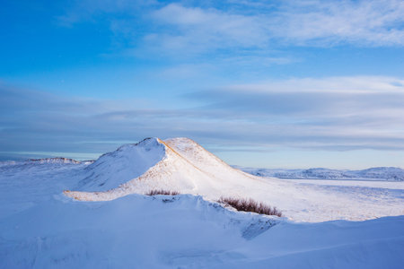 Snow desert. Kola Peninsula winter day landscape