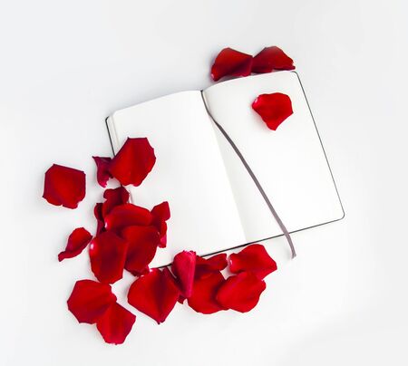 Opened notepad and red rose petals mock upの写真素材