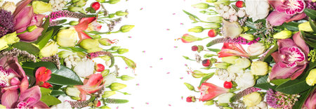 Decor of different flowers on edges of white backgroundの写真素材