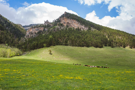 Caucasus Mountains spring landscape. Karachay-Cherkessia republic, Russia
