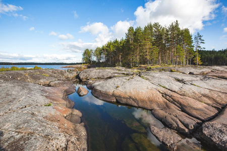 Onega Lake shore. Karelian landscape. Pine forest and transparent water