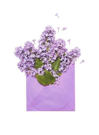 Lilac flowers in envelope isolated on white backgroundの写真素材
