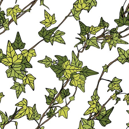 Seamless vector pattern of ivy leaves on white backgroundのイラスト素材