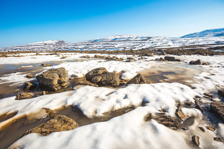 Puddles of melt water on the Putorana Plateau. Taimyr. Russia, Krasnoyarsk region