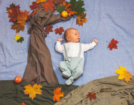 Newborn child in a fairy tale near maple treeの写真素材