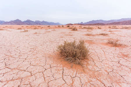 Dry cracked soil in the Wadi Rum desert. Jordan landscapeの写真素材