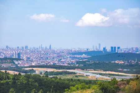 View of the Istanbul city panorama from afar