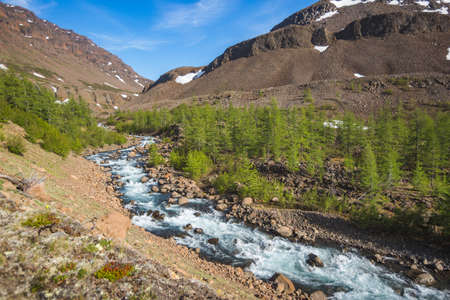 River Hoisey. Polar day on Putorana Plateau, Taimyr. Krasnoyarsk Territory, Russiaの写真素材