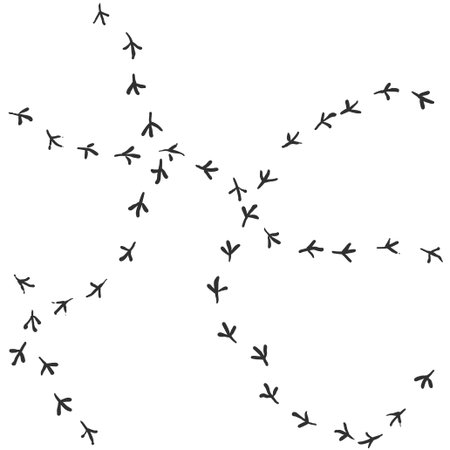 Pattern of a dove bird footprintsのイラスト素材