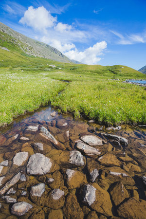 Brook in the Akchan valley. Mountain Altai landscape