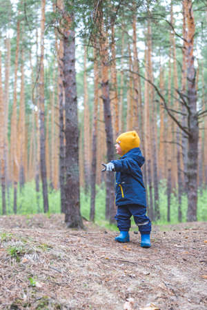 One year eight month old boy walks in the forestの写真素材