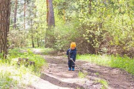 One year eight month old boy walks in the forestの写真素材