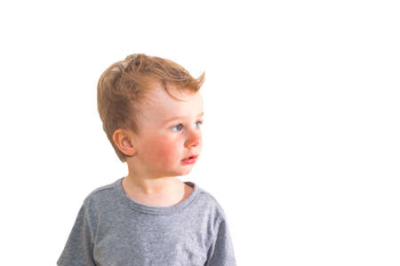 one year nine month old boy portrait on white backgroundの写真素材