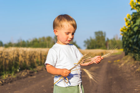 A boy with spikelets of rye against the backdrop of a rural landscapeの写真素材