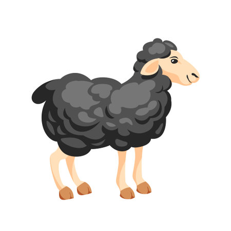 Black wool sheep cartoon vector illustration on white backgroundのイラスト素材