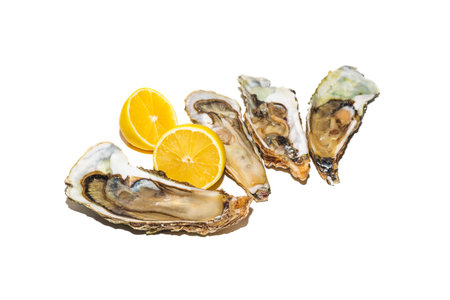 Fresh pacific oysters with lemon on white background