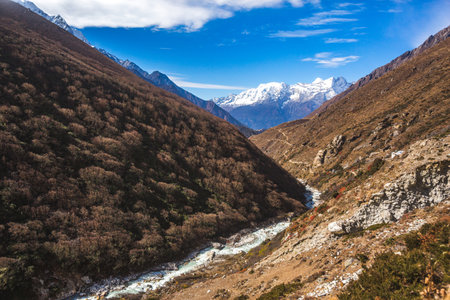 Bhote river valley. Nepal, Sagarmatha National Parkの写真素材