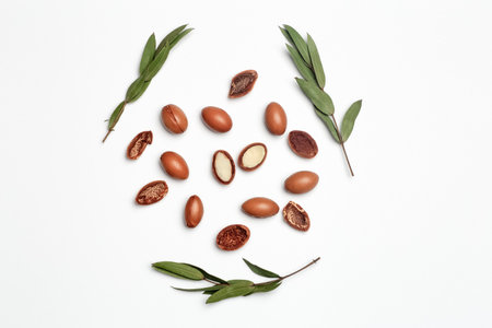 Argan seeds isolated on a white background. Argan oil nuts with plant. Cosmetics and natural oils backgroundの写真素材