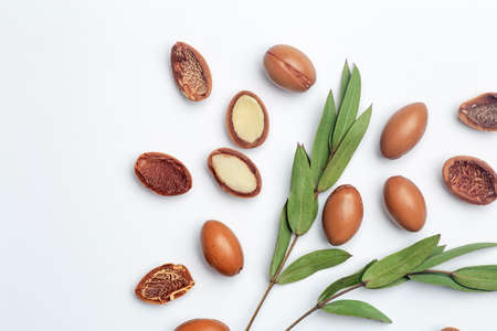 Argan seeds isolated on a white background. Argan oil nuts with plant. Cosmetics and natural oils backgroundの写真素材