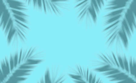 Palm leaves background. Shadows tropical palm leaves on an empty colored background. Summer, tropics, sun, vacation conceptの写真素材