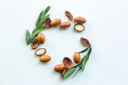 Argan seeds isolated on a white background. Argan oil nuts with plant. Cosmetics and natural oils backgroundの写真素材