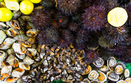 Assorted fresh raw seafood. Sea urchins, oysters, mussels, snails on the market.の写真素材
