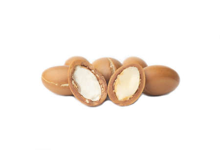 ARGAN SEEDS isolated on a white background. Argan oil and argan nuts conceptの写真素材