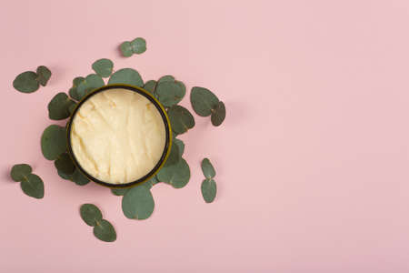 Cosmetics with eucalyptus background. Cream with oil and eucalyptus aroma. Cosmetics based on natural oilsの写真素材