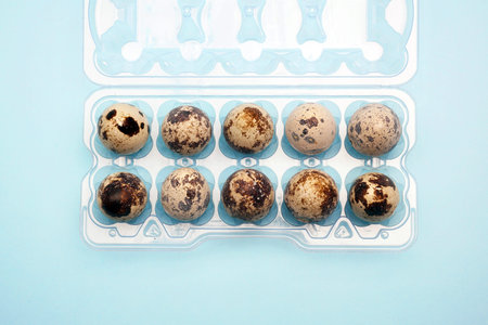 Quail eggs in a plastic egg carton on bright blue background